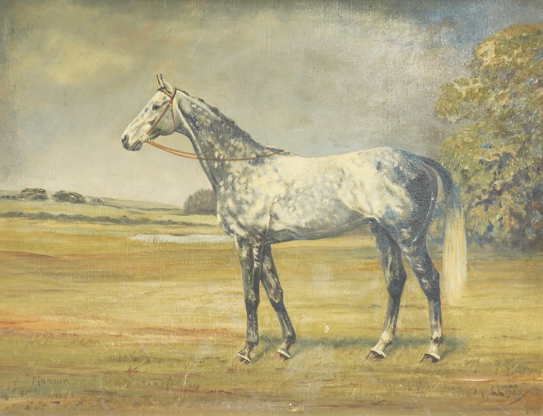 L. Lucas, Study of a dapple grey horse, ‘Mansur’, signed and dated 1940, oil on canvas, 42 x 55cm